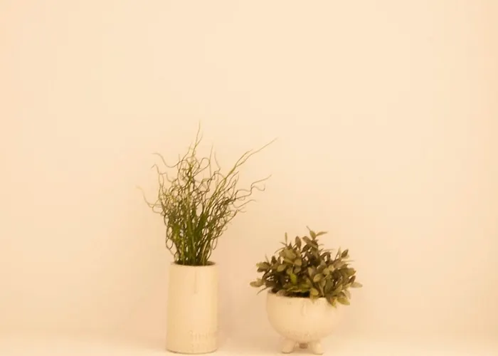 Appartement Loft Accommodative B